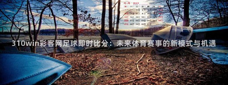 sunbet申搏平台开户链接：310win彩客网足球即时比分：未来体育赛事的新模式与机遇