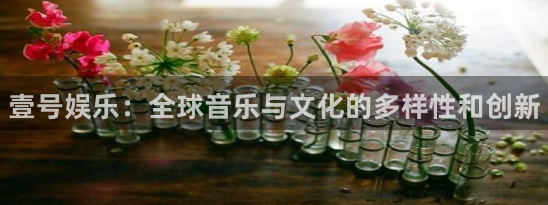 sunbet申搏体育官网注册：壹号娱乐：全球音乐与文化的多样性和创新